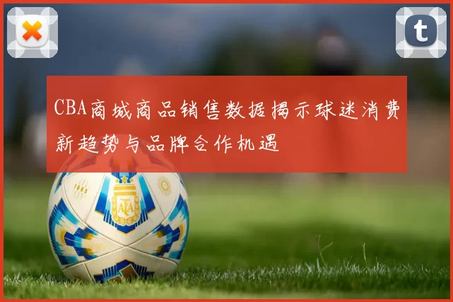 CBA商城商品销售数据揭示球迷消费新趋势与品牌合作机遇